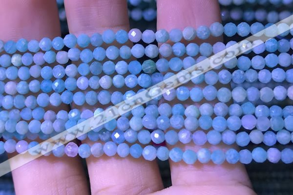 CTG1166 15.5 inches 3mm faceted round tiny amazonite beads