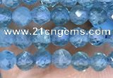 CTG1497 15.5 inches 3mm faceted round apatite beads wholesale