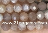 CTG1503 15.5 inches 3mm faceted round moonstone gemstone beads