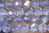 CTG1508 15.5 inches 3mm faceted round labradorite beads wholesale