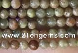 CTG2045 15 inches 2mm,3mm China unakite beads