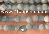 CTG2154 15 inches 2mm,3mm faceted round amazonite gemstone beads