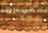 CTG2208 15 inches 2mm,3mm faceted round labradorite gemstone beads