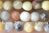 CTG2536 15.5 inches 4mm faceted round crazy lace agate beads