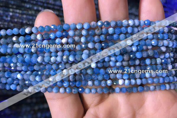 CTG760 15.5 inches 3mm faceted round tiny apatite gemstone beads