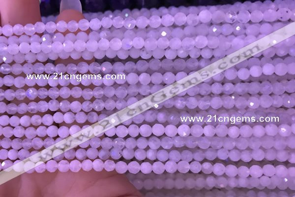 CTG831 15.5 inches 3mm faceted round tiny white moonstone beads