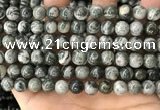 CZJ412 15.5 inches 8mm round green zebra jasper beads wholesale