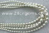 FWP212 15 inches 4mm - 9mm rice white freshwater pearl strands