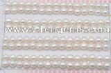 FWP455 half-drilled 5.5-6mm bread freshwater pearl beads