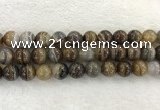 CAA1826 15.5 inches 16mm round banded agate gemstone beads