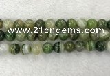 CAA1986 15.5 inches 16mm round banded agate gemstone beads