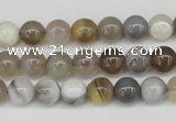 CAA224 15.5 inches 8mm round botswana agate gemstone beads