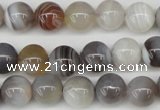 CAA225 15.5 inches 10mm round botswana agate gemstone beads