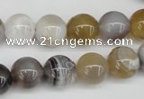 CAA226 15.5 inches 12mm round botswana agate gemstone beads