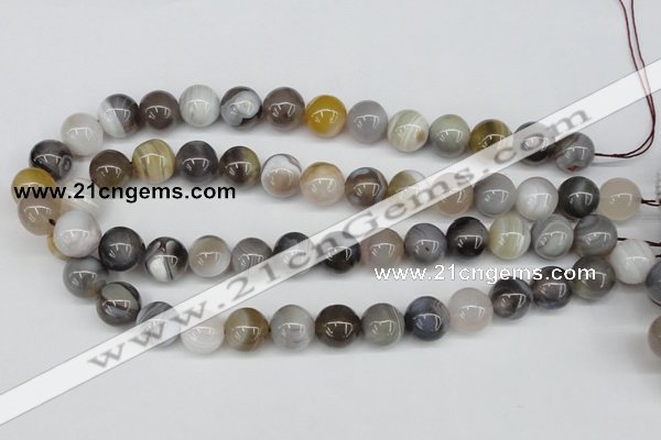 CAA227 15.5 inches 14mm round botswana agate gemstone beads