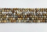 CAA2349 15.5 inches 6mm round crazy lace agate beads wholesale