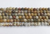 CAA2350 15.5 inches 8mm round crazy lace agate beads wholesale