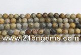 CAA2351 15.5 inches 10mm round crazy lace agate beads wholesale