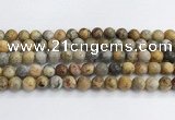 CAA2352 15.5 inches 12mm round crazy lace agate beads wholesale