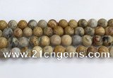 CAA2353 15.5 inches 14mm round crazy lace agate beads wholesale