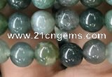 CAA2357 15.5 inches 6mm round moss agate beads wholesale