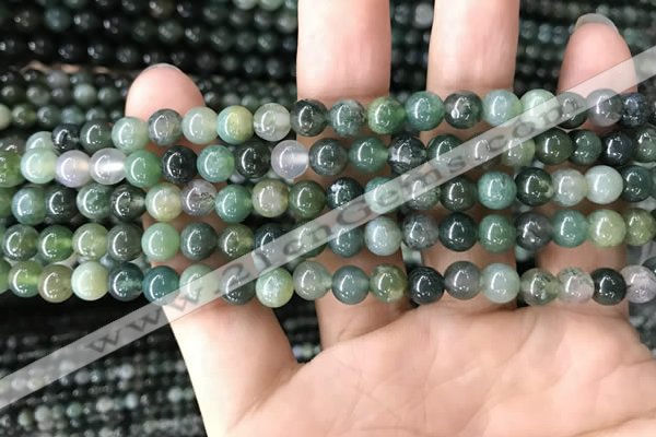 CAA2357 15.5 inches 6mm round moss agate beads wholesale