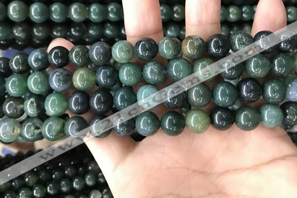 CAA2359 15.5 inches 10mm round moss agate beads wholesale