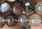 CAA2380 15.5 inches 8mm round Botswana agate beads wholesale