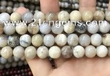 CAA3585 15.5 inches 12mm round ocean fossil agate beads wholesale