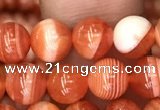 CAA3761 15.5 inches 6mm round red botswana agate beads wholesale