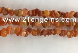 CAA3806 15.5 inches 4*6mm - 8*10mm chips red agate beads wholesale