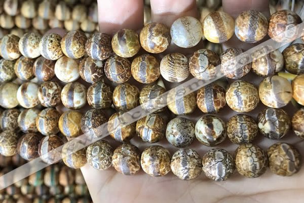 CAA3891 15 inches 10mm round tibetan agate beads wholesale