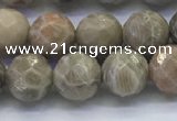 CAA3962 15.5 inches 8mm faceted round chrysanthemum agate beads