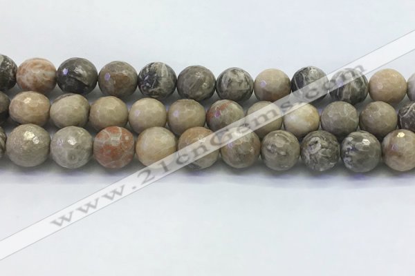 CAA3965 15.5 inches 14mm faceted round chrysanthemum agate beads