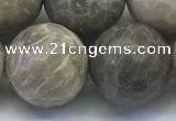 CAA3968 15.5 inches 20mm faceted round chrysanthemum agate beads