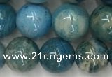 CAA3979 15.5 inches 10mm round chrysanthemum agate beads