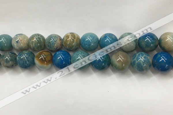 CAA3981 15.5 inches 14mm round chrysanthemum agate beads