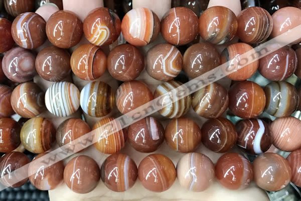 CAA4030 15.5 inches 14mm round line agate beads wholesale