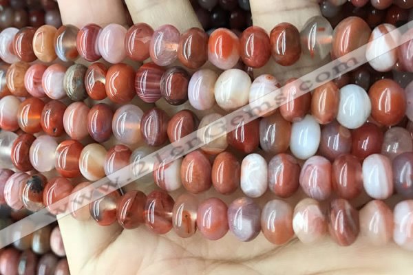 CAA4563 15.5 inches 6*10mm - 8*11mm rondelle south red agate beads