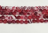 CAA4583 15.5 inches 10mm flat round banded agate beads wholesale