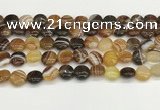 CAA4588 15.5 inches 12mm flat round banded agate beads wholesale