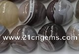 CAA4867 15.5 inches 10mm round Botswana agate beads wholesale