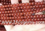 CAA4947 15.5 inches 6mm round red agate beads wholesale