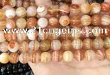 CAA4952 15.5 inches 10mm round Madagascar agate beads wholesale