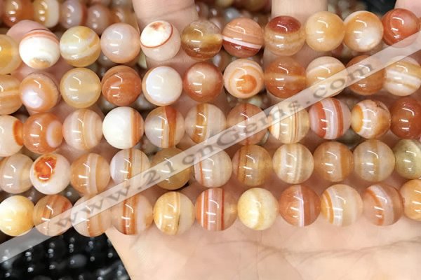 CAA4952 15.5 inches 10mm round Madagascar agate beads wholesale