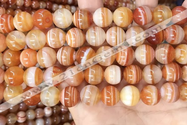 CAA4953 15.5 inches 12mm round Madagascar agate beads wholesale