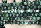 CAA4966 15.5 inches 8mm round green dendritic agate beads