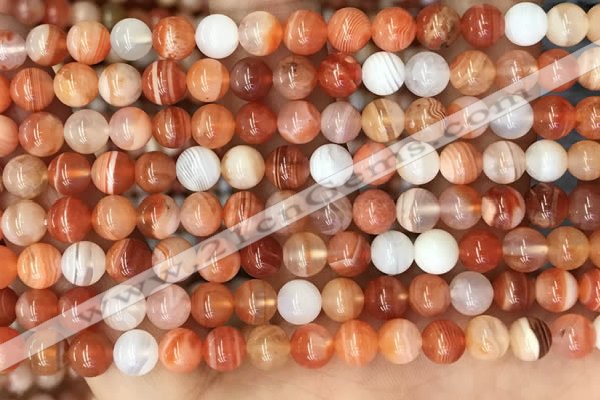 CAA5001 15.5 inches 6mm round red botswana agate beads wholesale