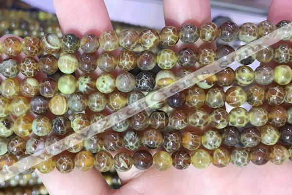 CAA5036 15.5 inches 4mm round yellow dragon veins agate beads