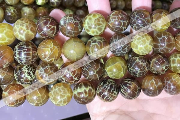 CAA5042 15.5 inches 16mm round yellow dragon veins agate beads